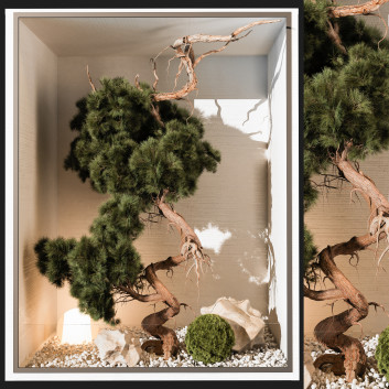 Green Wall Indoor Plant 252