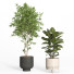 Flowerpots Indoor Plant Set 42 and Metal Pot - nr.asgari