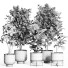 Flowerpots Indoor Plant Set 42 and Metal Pot - nr.asgari