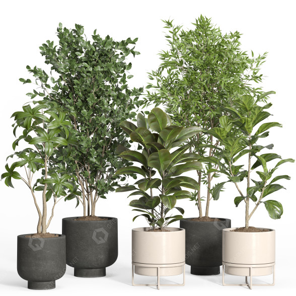 Flowerpots Indoor Plant Set 42 and Metal Pot 3D model
