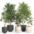 Flowerpots Indoor Plant Set 42 and Metal Pot - nr.asgari