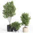 Flowerpots Indoor Plant Set 44 - nr.asgari