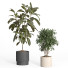 Flowerpots Indoor Plant Set 44 - nr.asgari