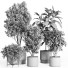 Flowerpots Indoor Plant Set 44 - nr.asgari