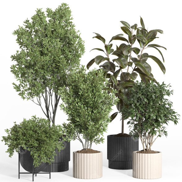 Flowerpots Indoor Plant Set 44 3D model