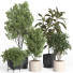 Flowerpots Indoor Plant Set 44 - nr.asgari