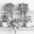 Flowerpots Plants on Shelf 07 - nr.asgari