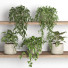 Flowerpots Plants on Shelf 07 - nr.asgari
