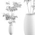 Ramo Ramas de Ficus - Shirbeigi