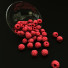Bayas Bowl Raspberries - CGMOD