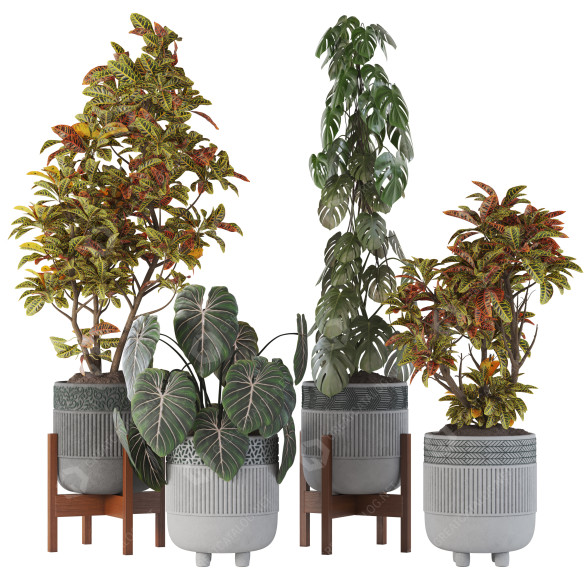Pots de fleurs Plantes d'intérieur Collection 05 modèle 3D