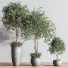 Blumentöpfe Indoor Set Plant 39 - nasrinrad