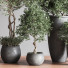 Blumentöpfe Indoor Set Plant 39 - nasrinrad
