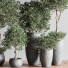 Blumentöpfe Indoor Set Plant 39 - nasrinrad