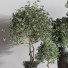 Blumentöpfe Indoor Set Plant 39 - nasrinrad