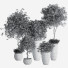 Blumentöpfe Indoor Set Plant 39 - nasrinrad