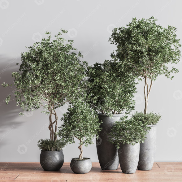 Blumentöpfe Indoor Set Plant 39 3D-Modell