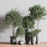 Blumentöpfe Indoor Set Plant 39 - nasrinrad