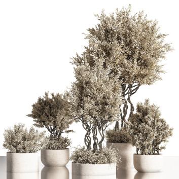 Pots de fleurs  Indoor Set Plant 40 Modèle 3D