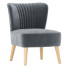 Président Armless Accent Modern Velvet Leisure - acer11757