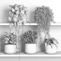 Flowerpots Plants on Shelf 08 - nr.asgari