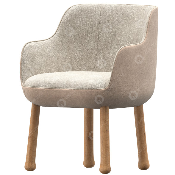 Стілець Pierre Yovanovitch Rozy with Armrests 3D модель