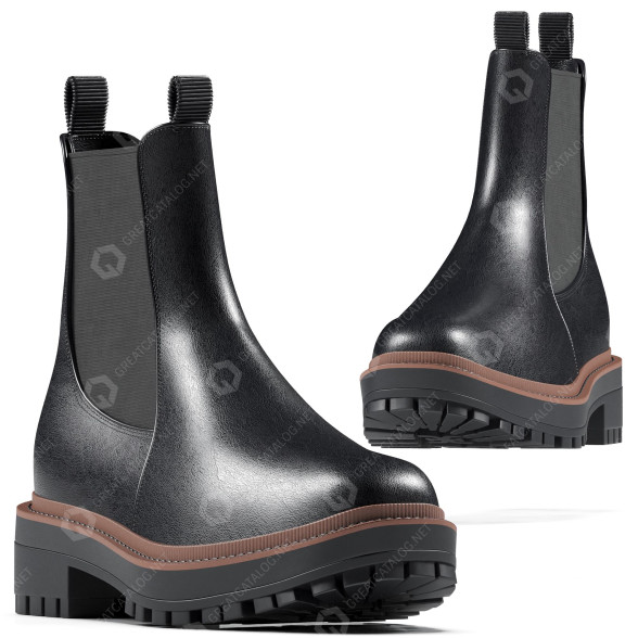 Взуття Laguna by Sam Edelman 3D модель