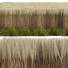 Trawa HQ Plants Calamagrostis Acutiflora Karl Foerster - Pandora-land