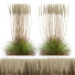 Trawa HQ Plants Calamagrostis Acutiflora Karl Foerster - Pandora-land