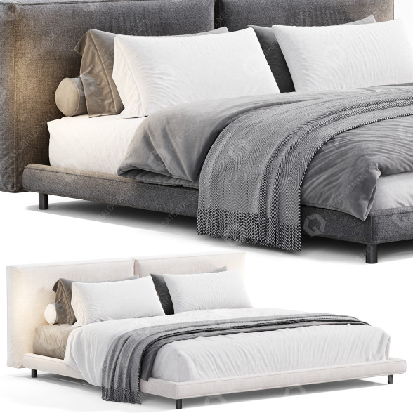 Ліжко Living Divani NeoWall 3D модель