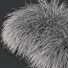 Hierba HQ Plantas Carex Elata Aurea - Pandora-land