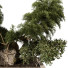 Árbol y arbustos Planta en exterior 226 - uniquevry