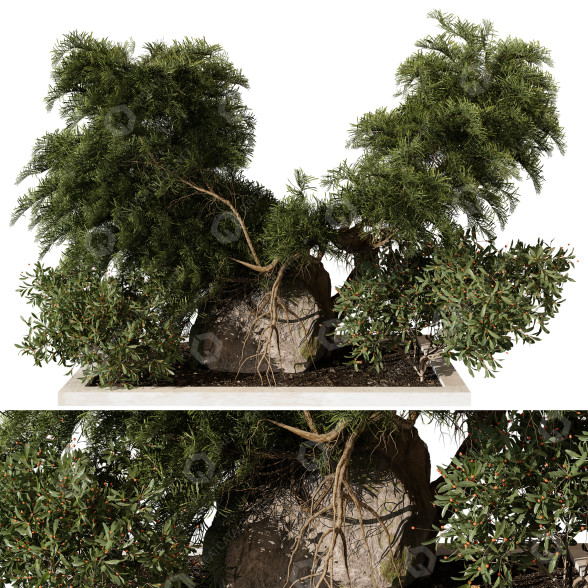 Árbol y arbustos Planta en exterior 226 Modelo 3D