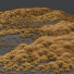 Gras Pflanzen carex testacea orange segge Präriefeuer version 4 - Pandora-land