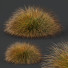 Gras Pflanzen carex testacea orange segge Präriefeuer version 4 - Pandora-land