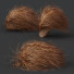 Hierba Carex Testacea 