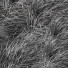 Hierba Carex Testacea 