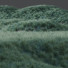 Gras HQ Pflanzen Helictotrichon Sempervirens Pendula Blaue Avoine - Pandora-land