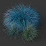 Gras HQ Pflanzen Helictotrichon Sempervirens Pendula Blaue Avoine - Pandora-land