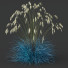Gras HQ Pflanzen Helictotrichon Sempervirens Pendula Blaue Avoine Version 03 - Pandora-land