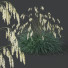 Gras HQ Pflanzen Helictotrichon Sempervirens Pendula Blaue Avoine Version 03 - Pandora-land