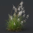 Gras HQ Pflanzen Miscanthus Nepalensis Sinensis Sarabande Adagio Version 02 Windig - Pandora-land