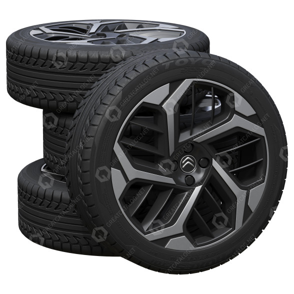 Колеса Citroen Citroen Tires 3D модель