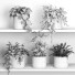 Flowerpots Plants on Shelf 09 - nr.asgari