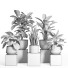 Flowerpots Indoor Plant Set 49 - nr.asgari
