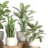 Flowerpots Indoor Plant Set 49 - nr.asgari