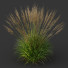 Trawa Molinia Caerulea Heidebraut Kleines Pfeifengras Version 04 - Pandora-land