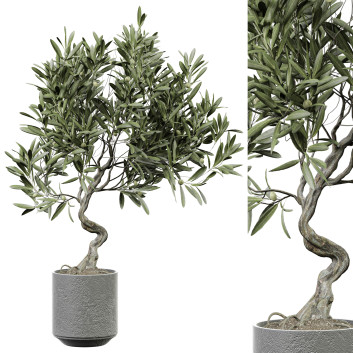 Roślina doniczkowa  Indoor 289 Model 3D