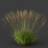 Trawa Plants Molinia Caerulea Heidebraut Kleines Pfeifengras Version 05 - Pandora-land