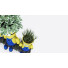 Topfpflanzen Minions - 3Dpredator